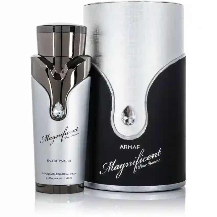 Armaf Magneficent Pour Homme EDP 100 ml