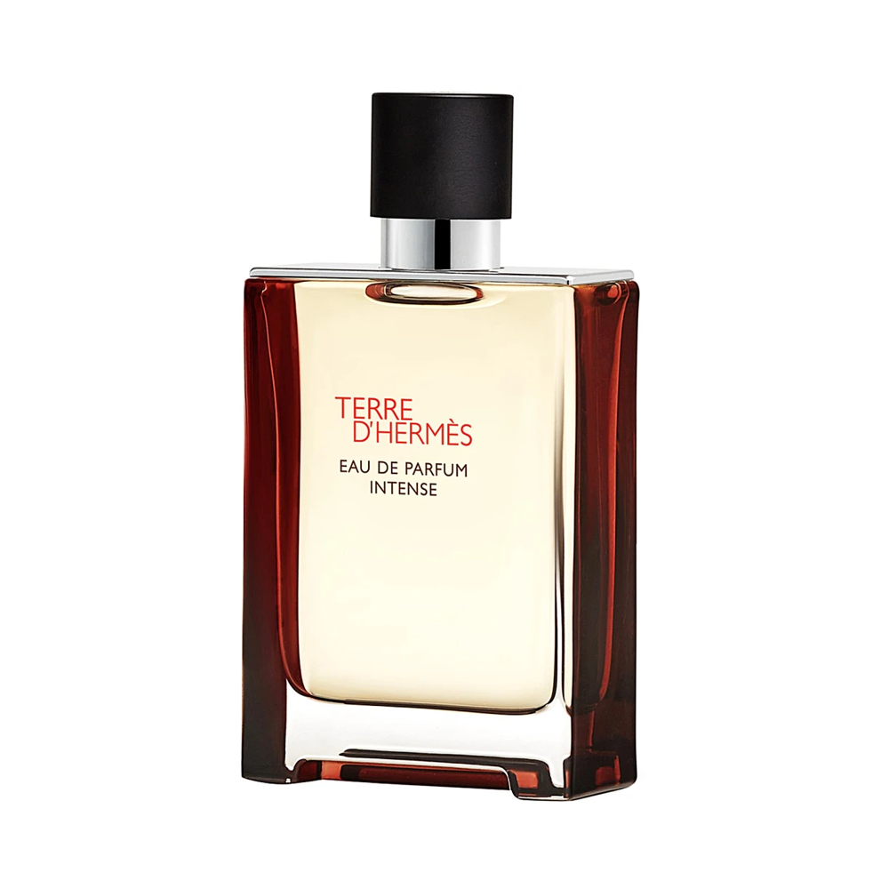 hermes-terre-dhermes-eau-de-parfum-intense-refillable-masculin-100ml-parfum-301897-2