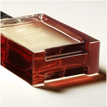 hermes-terre-dhermes-eau-de-parfum-intense-refillable-masculin-100ml-parfum-301897-2