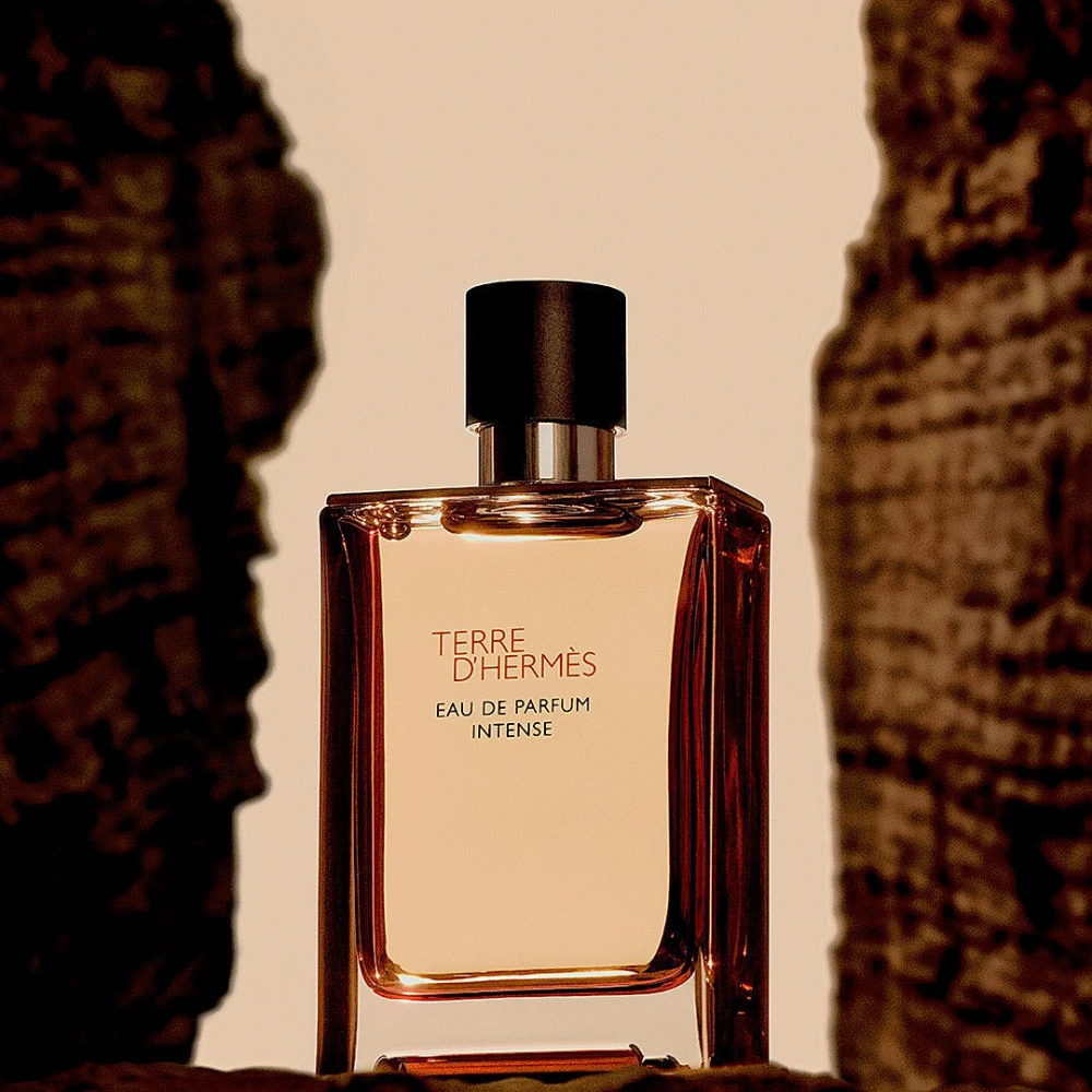hermes-terre-dhermes-eau-de-parfum-intense-refillable-masculin-100ml-parfum-301897-4 hermes-terre-dhermes-eau-de-parfum-intense-refillable-masculin-100ml-parfum-301897-4