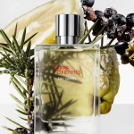 hermes-terre-dhermes-pure-perfume-masculin-200ml-parfum-301534-2