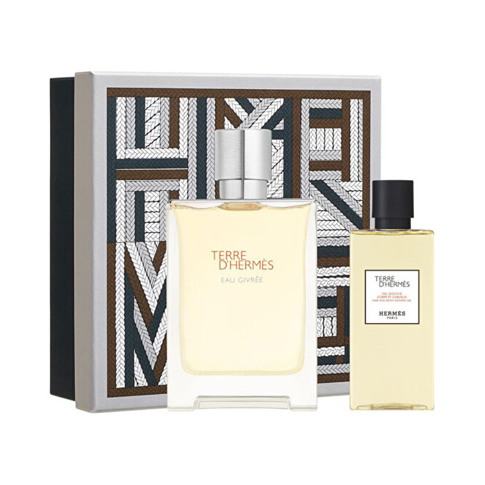 set-cadou-hermes-terre-dhermes-eau-givree-apa-de-parfum-masculin-100ml-gel-de-dus-80ml-301882-1