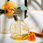 hermes-eau-des-merveilles-eau-de-toilette-feminin-100ml-parfum-301532-1.png