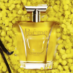 lancome-poeme-edp-100ml-301011-1.png