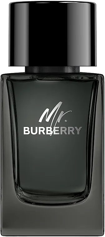 Burberry Mr. Burberry Men EDP 150ml