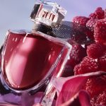 la-vie-est-belle-lelixir___240730
