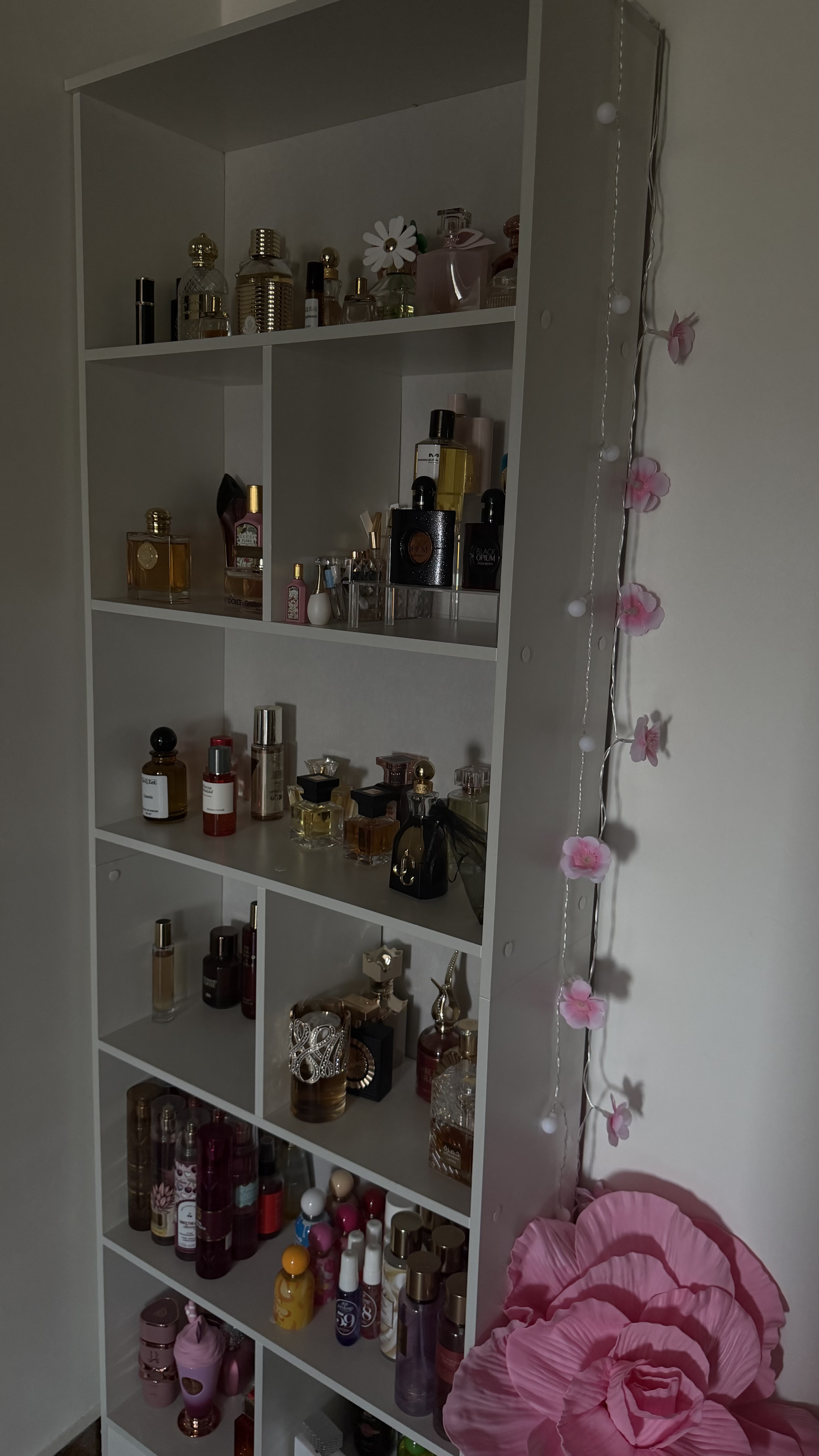 Recomandarile Isabellei